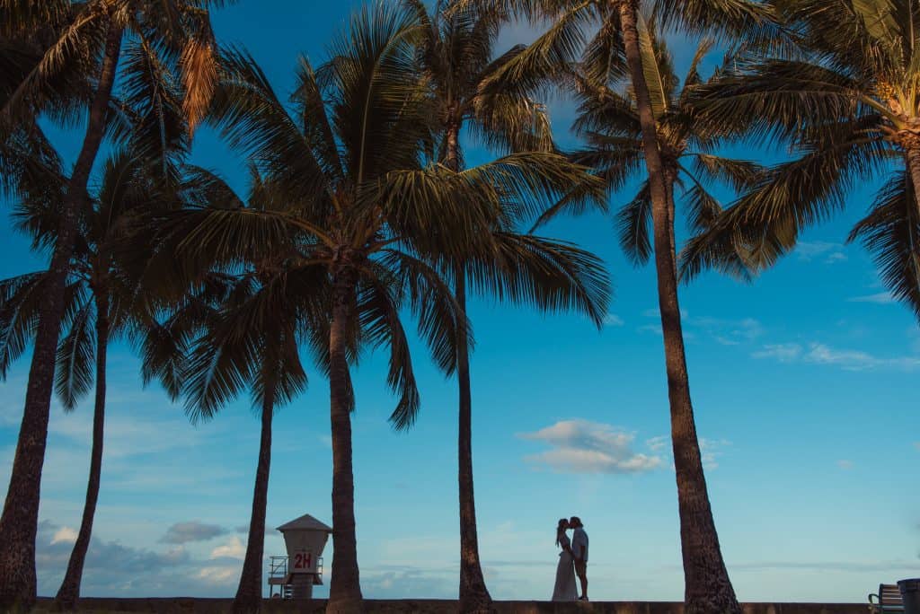 Couple under the palm trees in Waikiki for their elopement