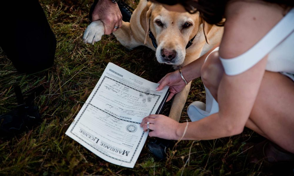 a dog signs the marriage license at an adventure elopement in Colorado