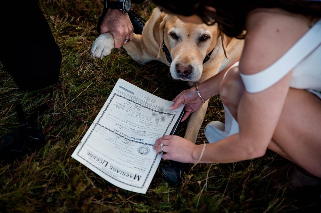 a pup signs the marriage license in Colorado at an elopement in the San Juan Mountains