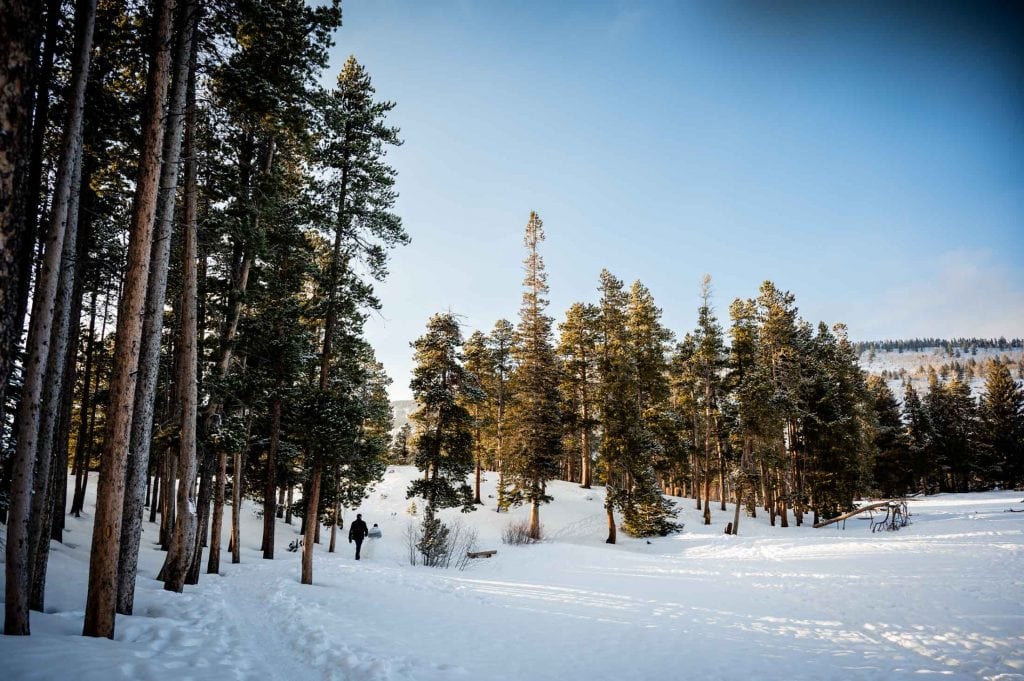 a couple walks through a snowy forest at their winter adventure elopement at Sprague Lake in RMNP
