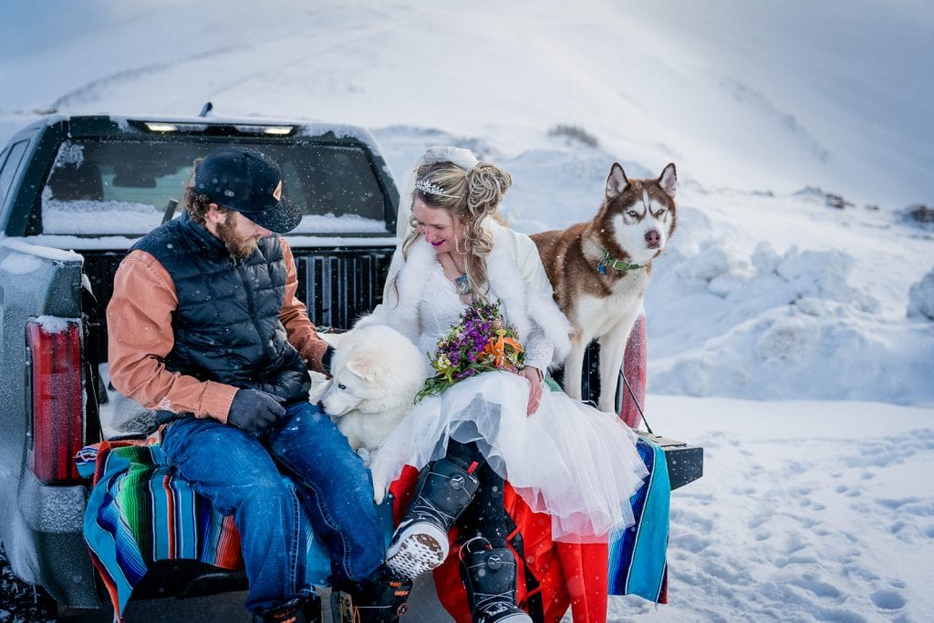 a couple relaxes in the back of their truck after having their dogs sign their marriage license at their colorado elopement